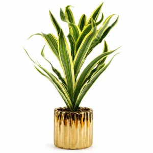Planta Artificial Dracaena