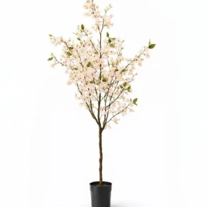 Planta Cerezo