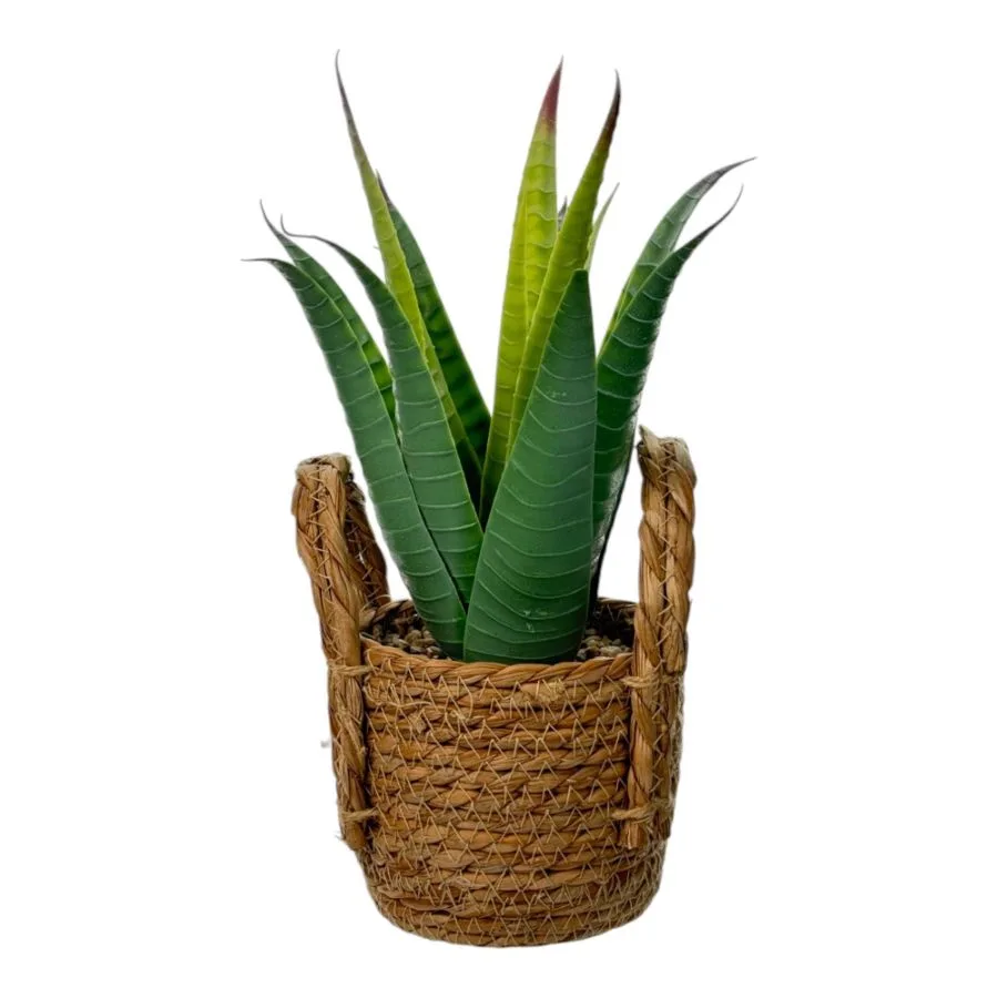 Planta Artificial Suculenta