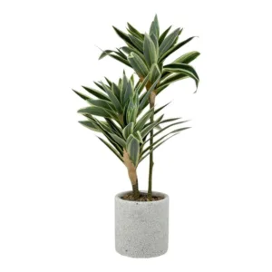 Planta Artificial Dracaena Con Maceta