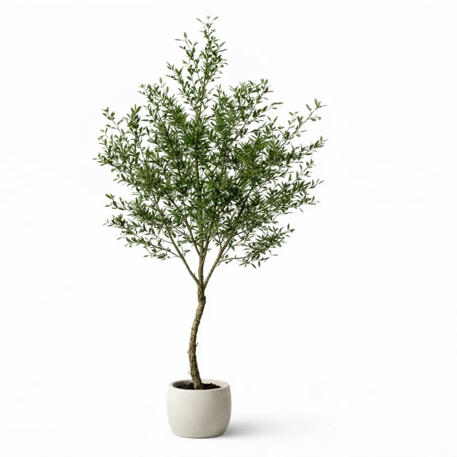 Árbol De Olivo Artificial