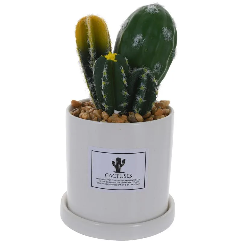 Planta Artificial Cactus