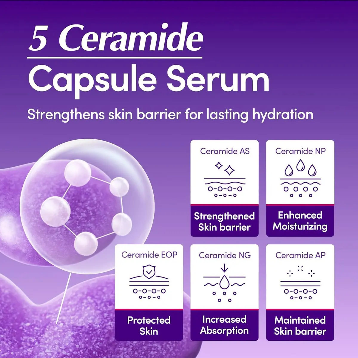 EQQUALBERRY Bakuchiol Plumping Serum – Sérum Reafirmante con Bakuchiol, Péptidos, Ceramidas y Niacinamida (50 ml) - Image 3
