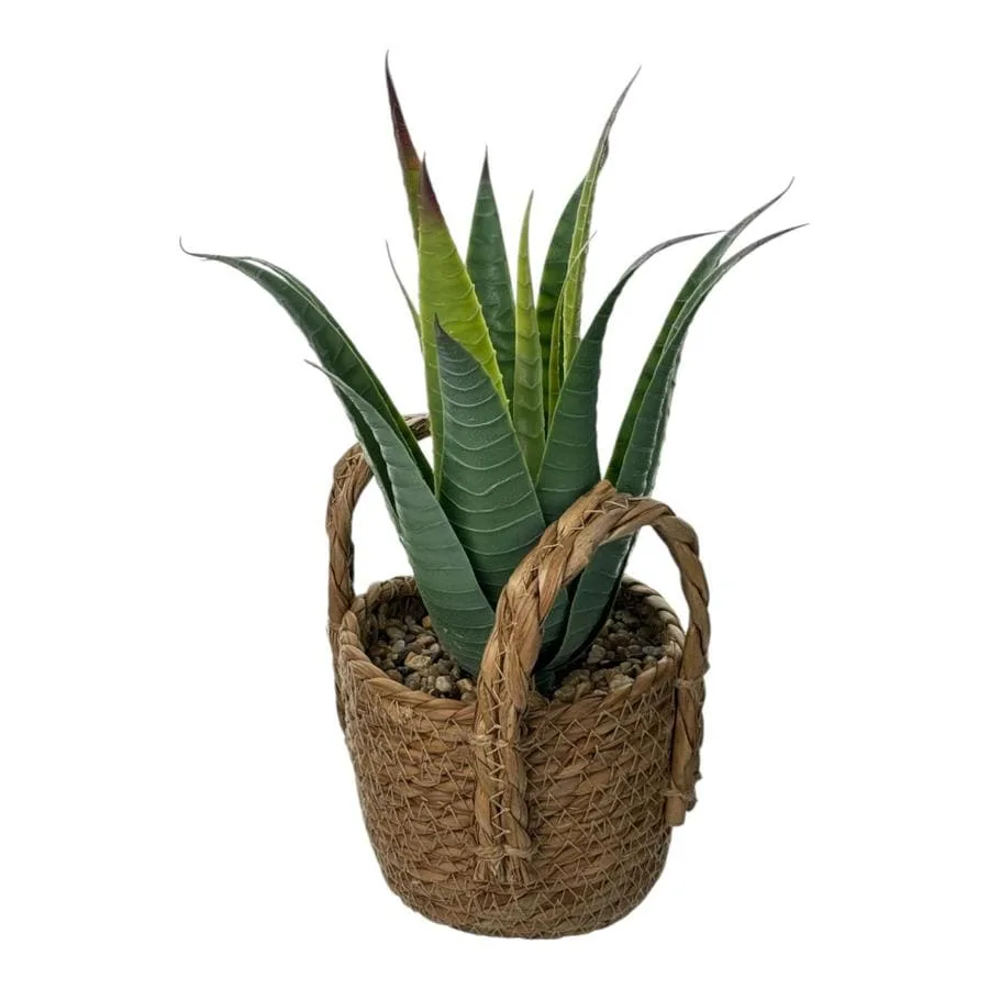 Planta Artificial Suculenta - Image 2